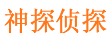 于田市场调查